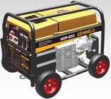 WDF-250 250A Petrol Welder Generator